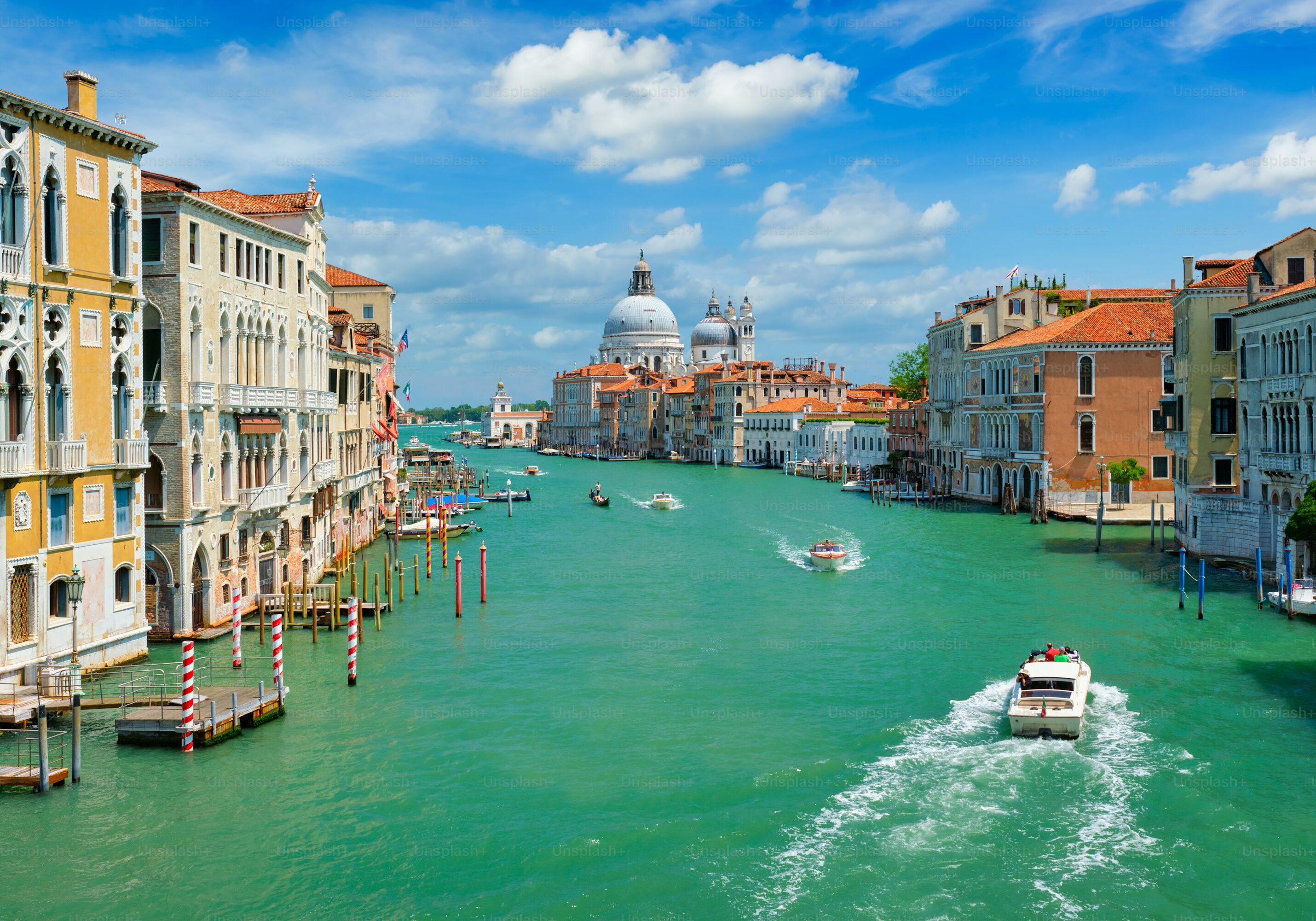 premium photo 1661963047742 dabc5a735357